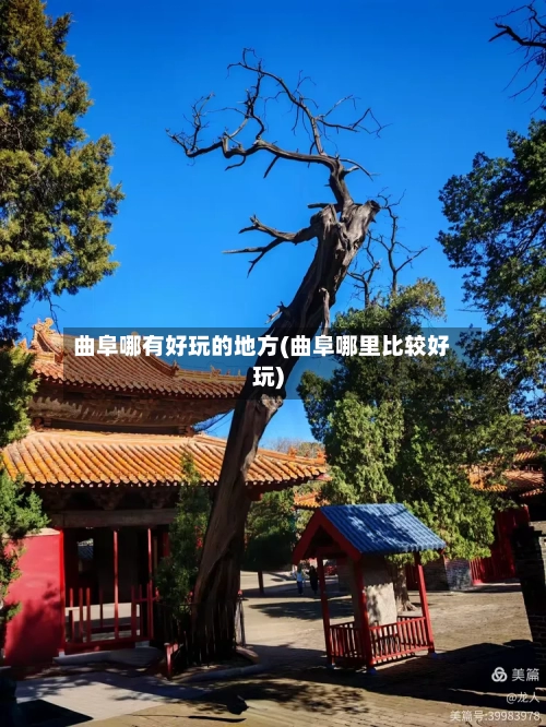 曲阜哪有好玩的地方(曲阜哪里比较好玩)-第2张图片
