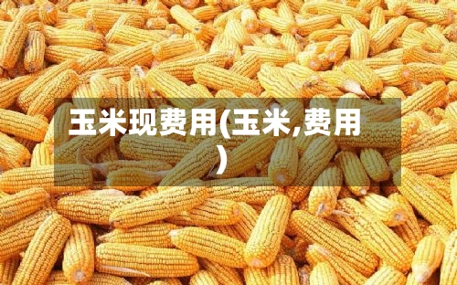 玉米现费用(玉米,费用)