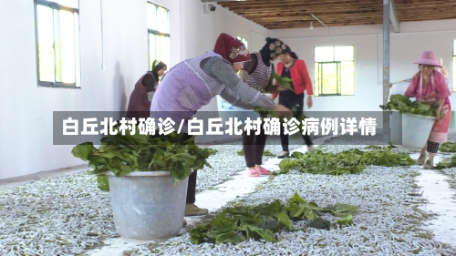 白丘北村确诊/白丘北村确诊病例详情