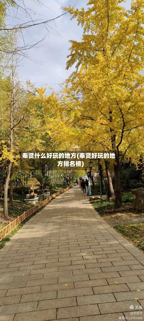 奉贤什么好玩的地方(奉贤好玩的地方排名榜)