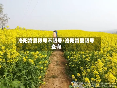 洛阳嵩县限号不限号/洛阳嵩县限号查询-第2张图片
