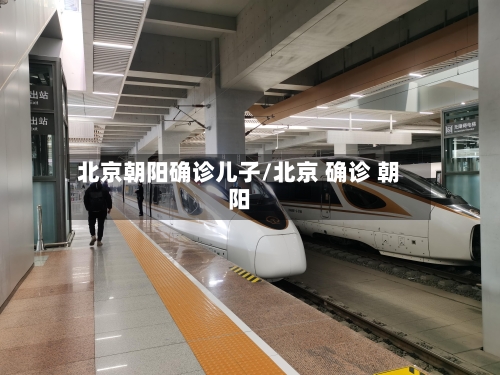 北京朝阳确诊儿子/北京 确诊 朝阳