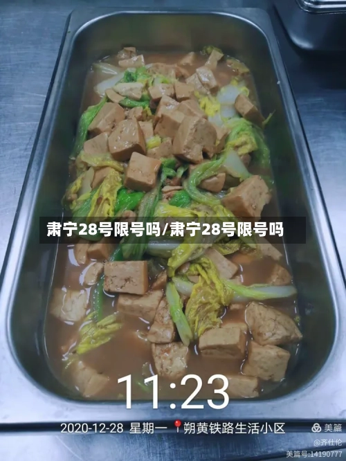 肃宁28号限号吗/肃宁28号限号吗-第3张图片
