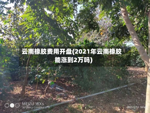 云南橡胶费用开盘(2021年云南橡胶能涨到2万吗)-第2张图片