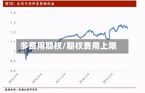 多费用期权/期权费用上限-第2张图片
