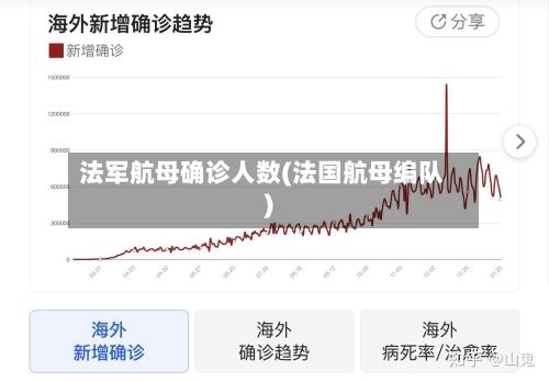法军航母确诊人数(法国航母编队)