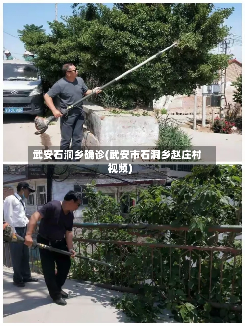 武安石洞乡确诊(武安市石洞乡赵庄村视频)-第2张图片