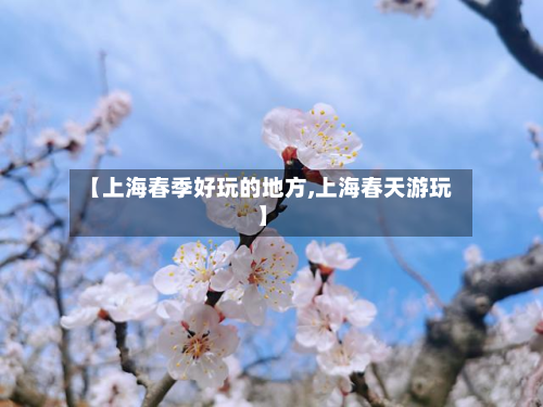 【上海春季好玩的地方,上海春天游玩】-第2张图片