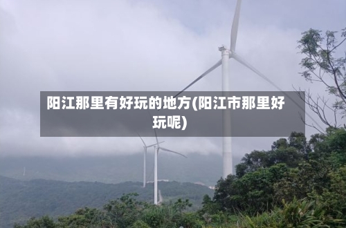 阳江那里有好玩的地方(阳江市那里好玩呢)-第2张图片