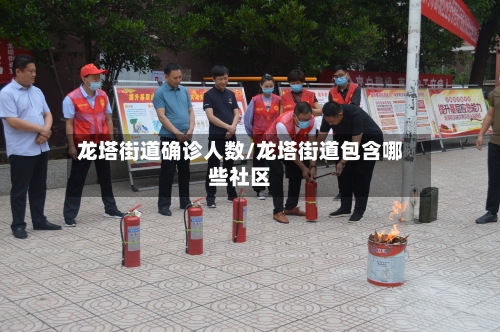龙塔街道确诊人数/龙塔街道包含哪些社区-第3张图片