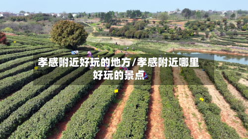 孝感附近好玩的地方/孝感附近哪里好玩的景点