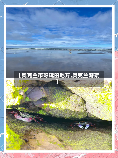 【奥克兰市好玩的地方,奥克兰游玩】