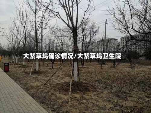 大紫草坞确诊情况/大紫草坞卫生院