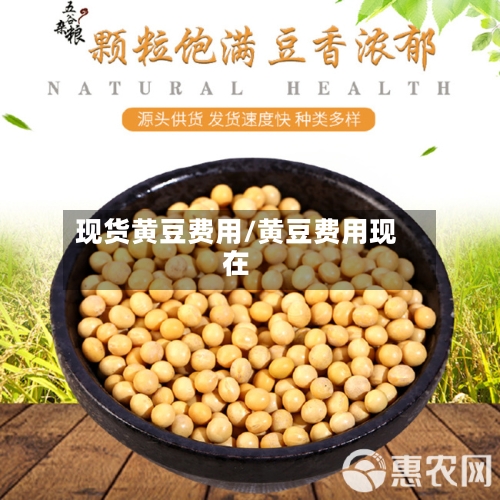现货黄豆费用/黄豆费用现在