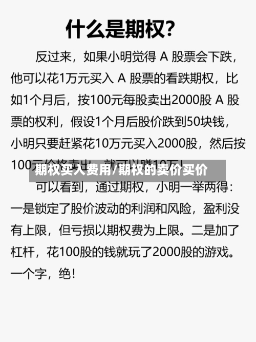 期权买入费用/期权的卖价买价-第2张图片