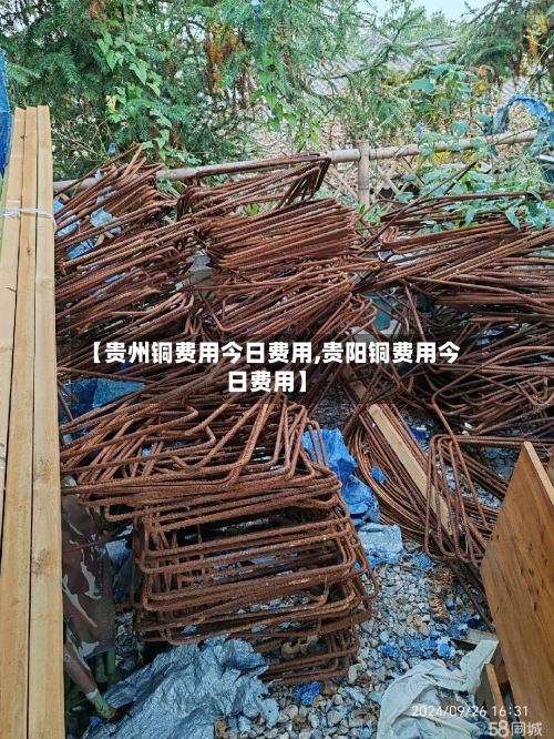 【贵州铜费用今日费用,贵阳铜费用今日费用】