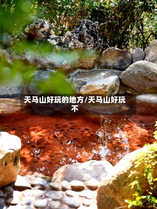 天马山好玩的地方/天马山好玩不
