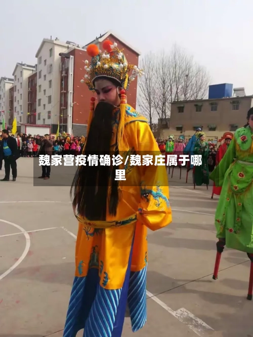 魏家营疫情确诊/魏家庄属于哪里-第2张图片