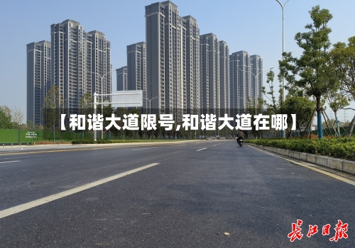 【和谐大道限号,和谐大道在哪】-第3张图片