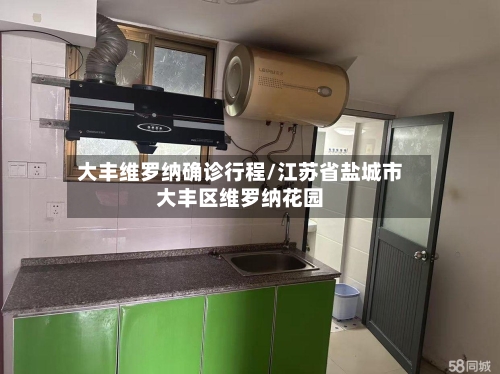 大丰维罗纳确诊行程/江苏省盐城市大丰区维罗纳花园-第3张图片
