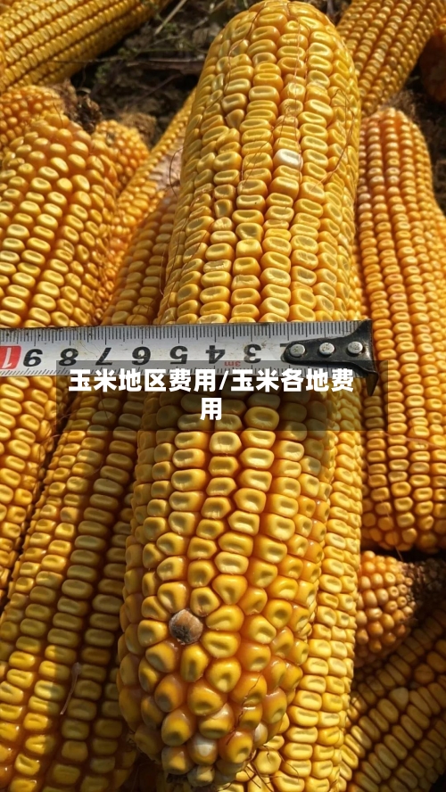 玉米地区费用/玉米各地费用
