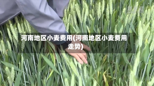 河南地区小麦费用(河南地区小麦费用走势)-第3张图片
