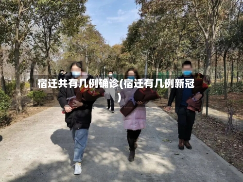 宿迁共有几例确诊(宿迁有几例新冠)-第2张图片