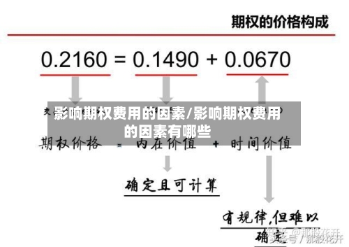 影响期权费用的因素/影响期权费用的因素有哪些-第2张图片