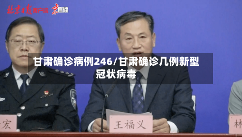 甘肃确诊病例246/甘肃确诊几例新型冠状病毒-第3张图片