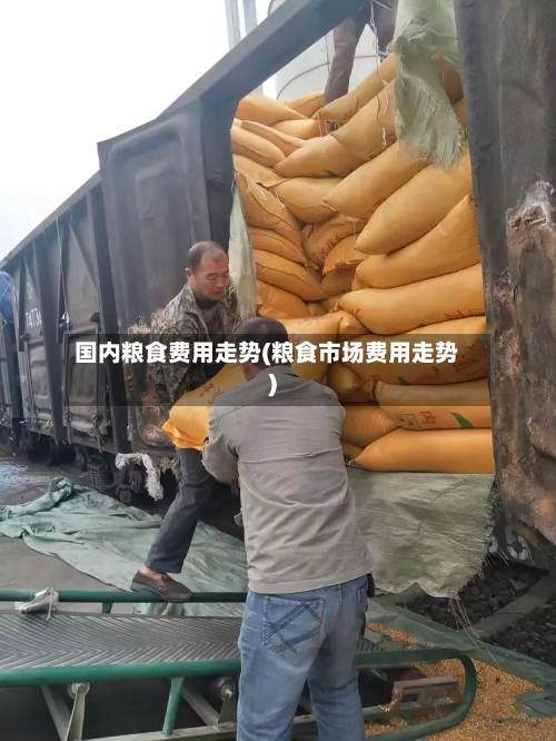 国内粮食费用走势(粮食市场费用走势)