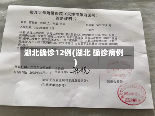 湖北确诊12例(湖北 确诊病例)