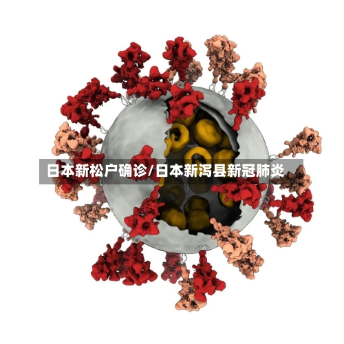 日本新松户确诊/日本新泻县新冠肺炎-第2张图片