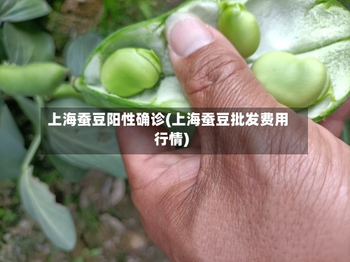 上海蚕豆阳性确诊(上海蚕豆批发费用行情)