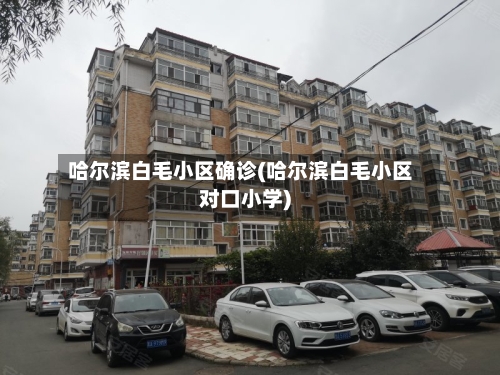哈尔滨白毛小区确诊(哈尔滨白毛小区对口小学)-第2张图片