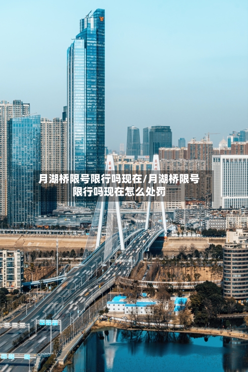 月湖桥限号限行吗现在/月湖桥限号限行吗现在怎么处罚