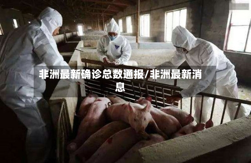 非洲最新确诊总数通报/非洲最新消息