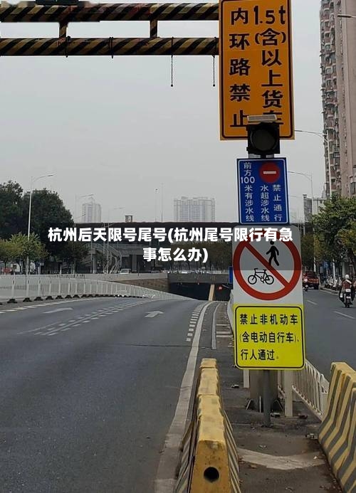 杭州后天限号尾号(杭州尾号限行有急事怎么办)-第2张图片
