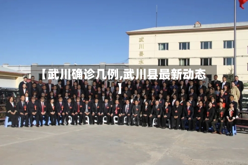 【武川确诊几例,武川县最新动态】