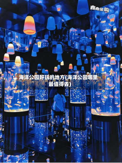 海洋公园好玩的地方(海洋公园哪里最值得去)