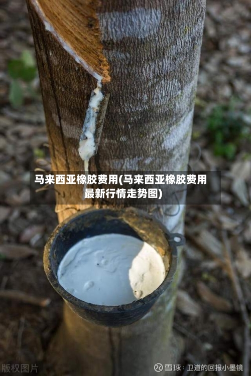 马来西亚橡胶费用(马来西亚橡胶费用最新行情走势图)