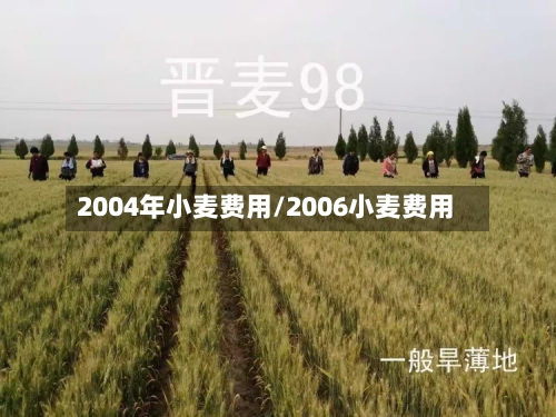 2004年小麦费用/2006小麦费用