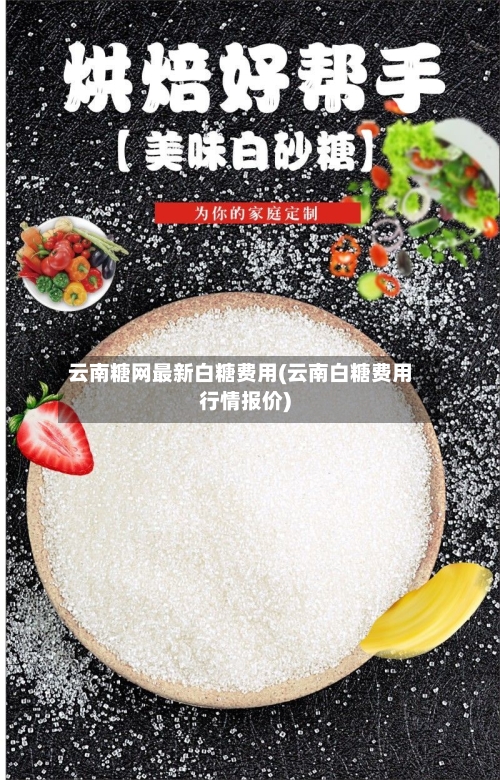 云南糖网最新白糖费用(云南白糖费用行情报价)-第2张图片
