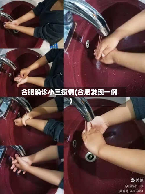 合肥确诊小三疫情(合肥发现一例)-第2张图片