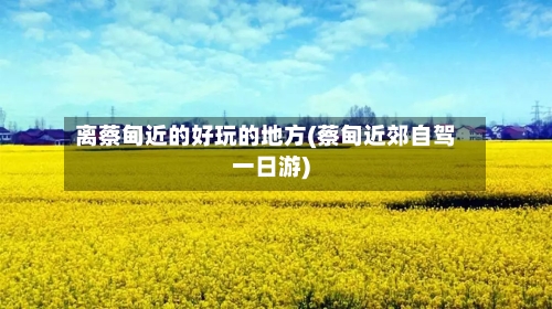 离蔡甸近的好玩的地方(蔡甸近郊自驾一日游)-第2张图片