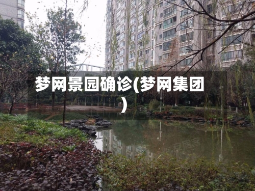 梦网景园确诊(梦网集团)