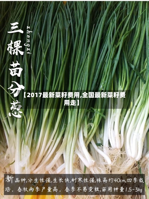 【2017最新菜籽费用,全国最新菜籽费用走】-第3张图片