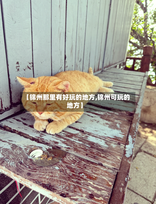 【锦州那里有好玩的地方,锦州可玩的地方】-第3张图片