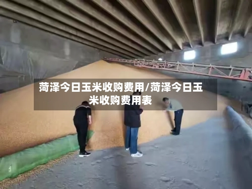 菏泽今日玉米收购费用/菏泽今日玉米收购费用表-第2张图片