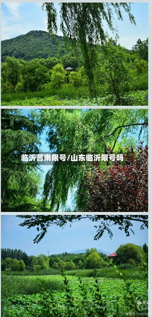 临沂莒南限号/山东临沂限号吗-第3张图片