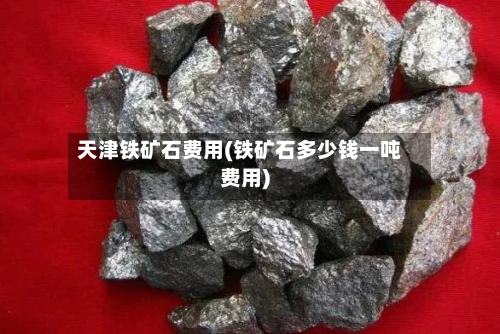 天津铁矿石费用(铁矿石多少钱一吨费用)-第2张图片